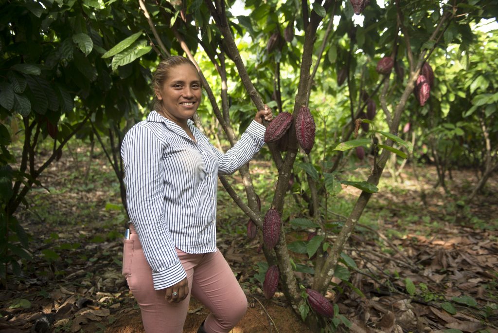 MLR Forestal cacao Darling Granados