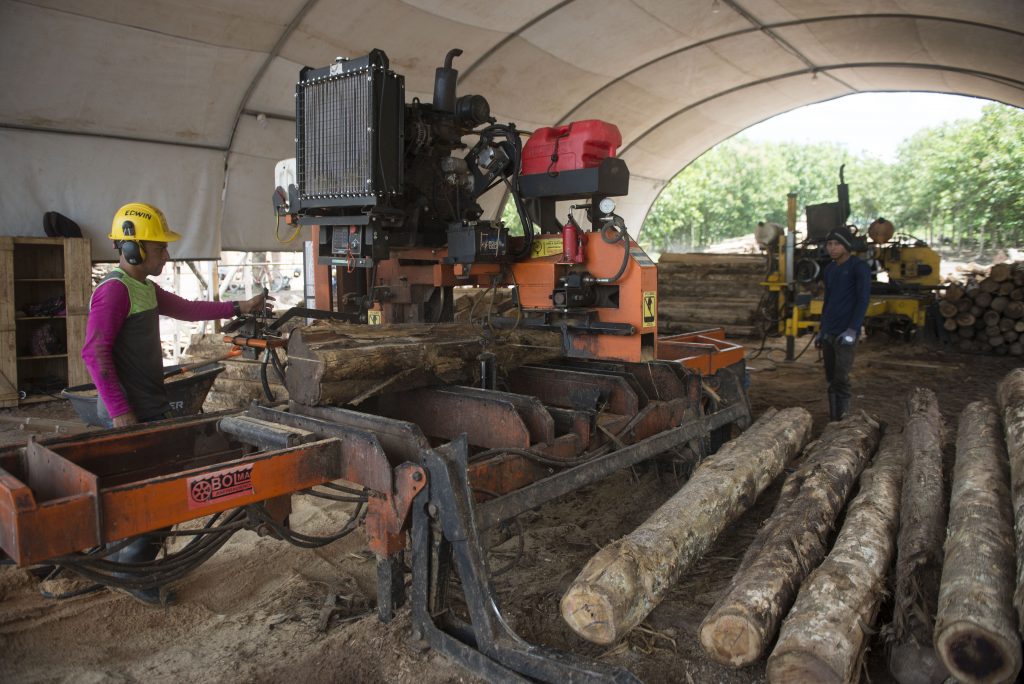 MLR Forestal sawmill