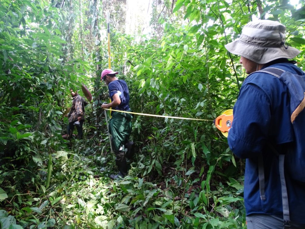 Personal del Centro Humboldt y MLR miden las áreas de protección de la empresa agroforestal.