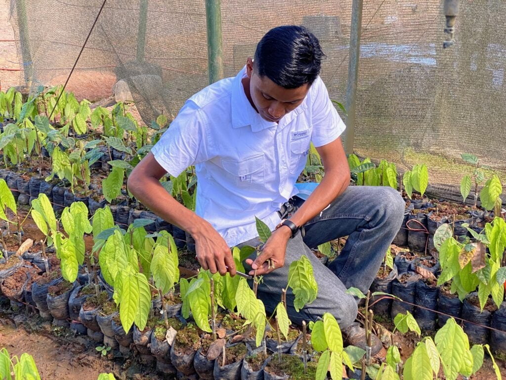 A pesar de ser el supervisor del vivero más grande del Caribe Norte, Marvin Fonseca no olvida  sus inicios como injertador.