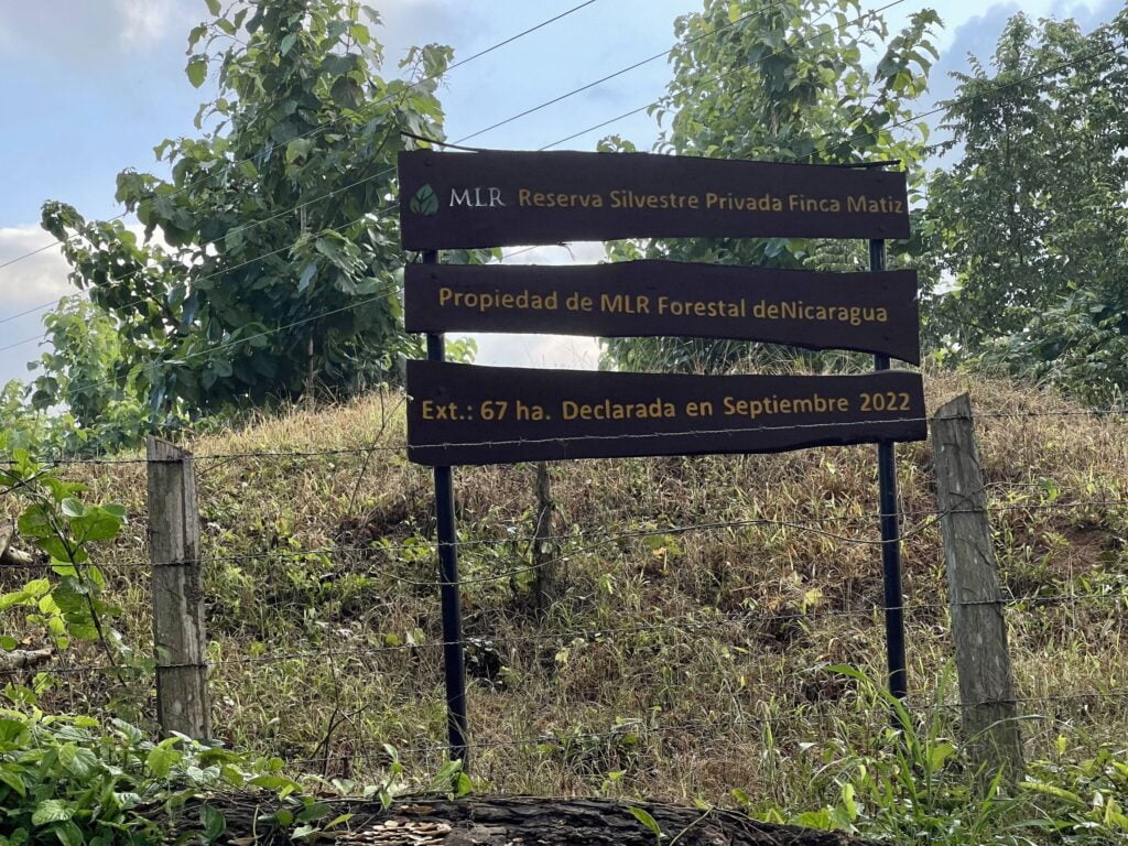 Luis López, Sustainable Development Manager for MLR Forestal, said that for the company "it is a source of great pride to be able to maintain this primary forest reserve very close to the town of Siuna and in our municipality, and that these initiatives can continue to grow, motivate and generate information for the municipality, for the Northern Caribbean Coast and for Nicaragua".