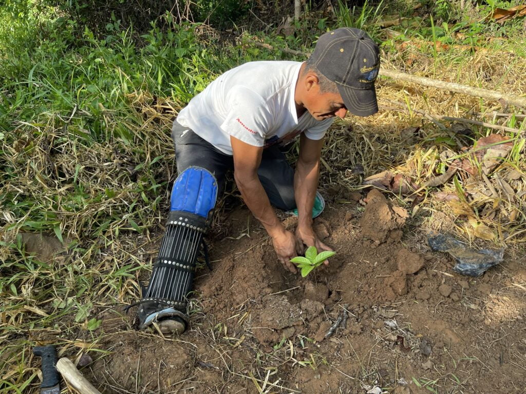 This year's work has consisted of enriching the areas made up of tacotales, scattered trees, slopes and natural drainages.