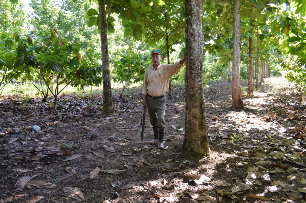 Don Juan López Díaz, su esposa y sus once hijos son parte de la iniciativa Pequeño Productor de Cacao (PPC) promovida por MLR Forestal.