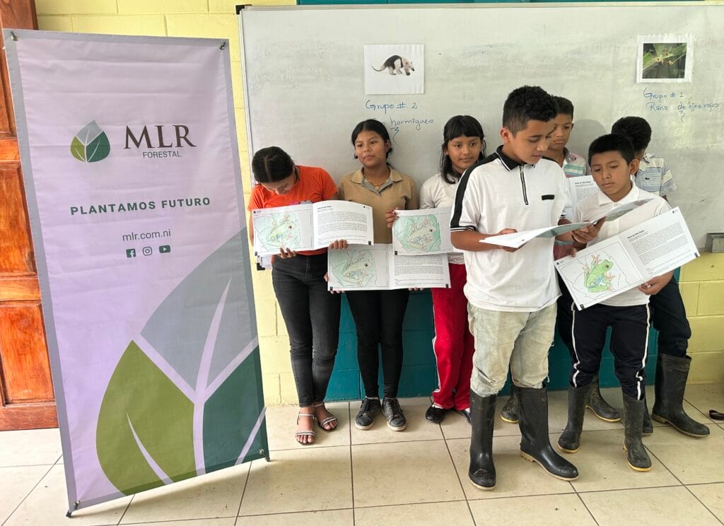 MLR cartillas 2