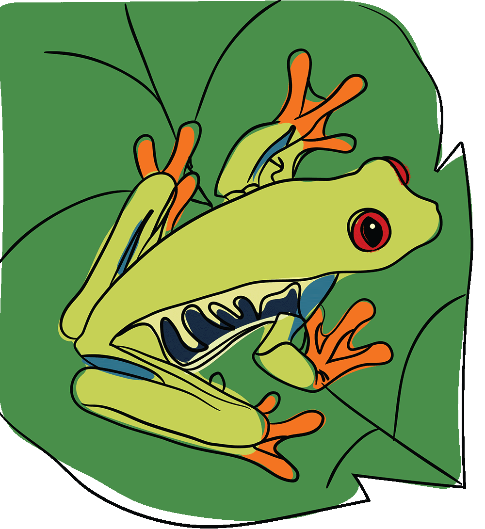 catilla animal 1