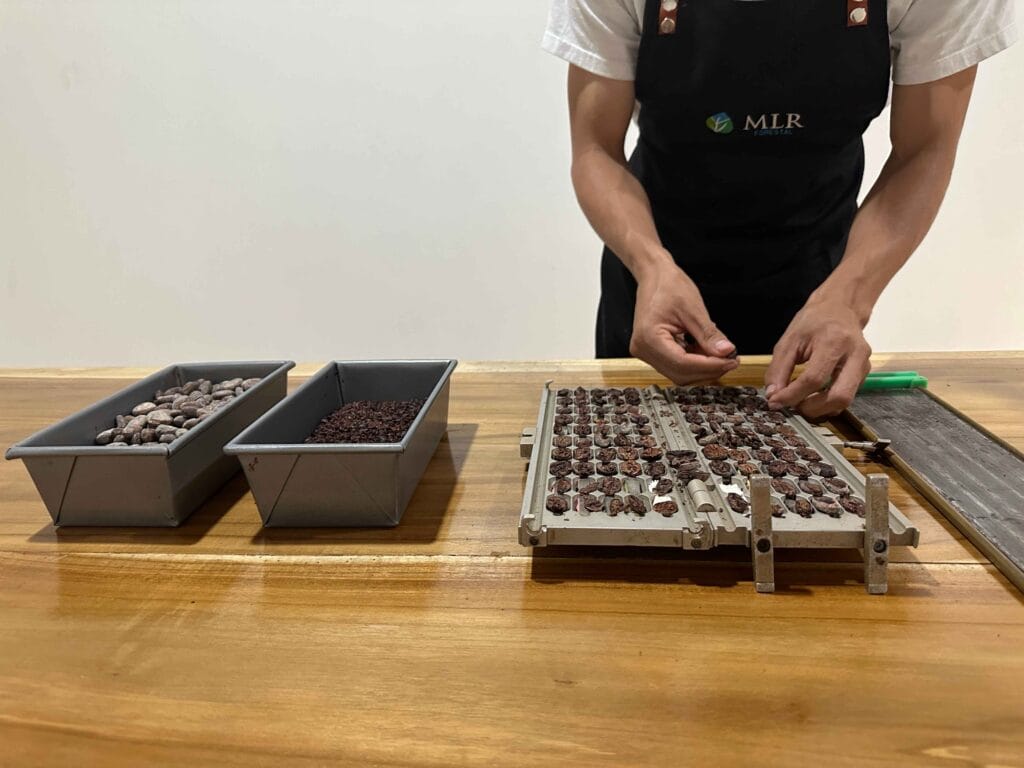 Nuevo lab MLR 4