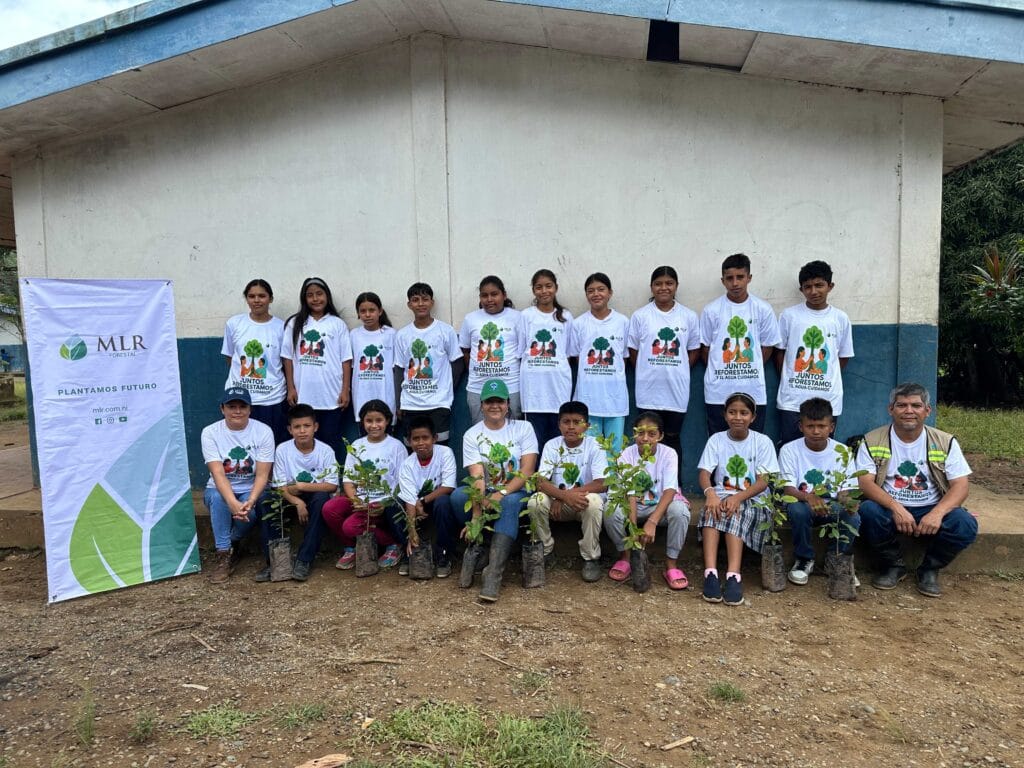Reforest MLR 4