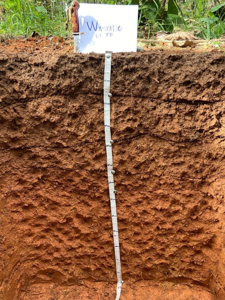 Suelos 3