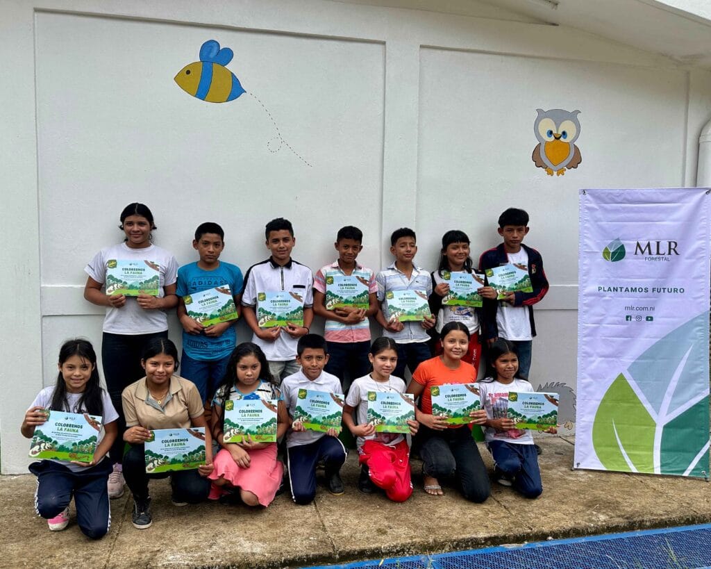 Cartilla MLR Forestal