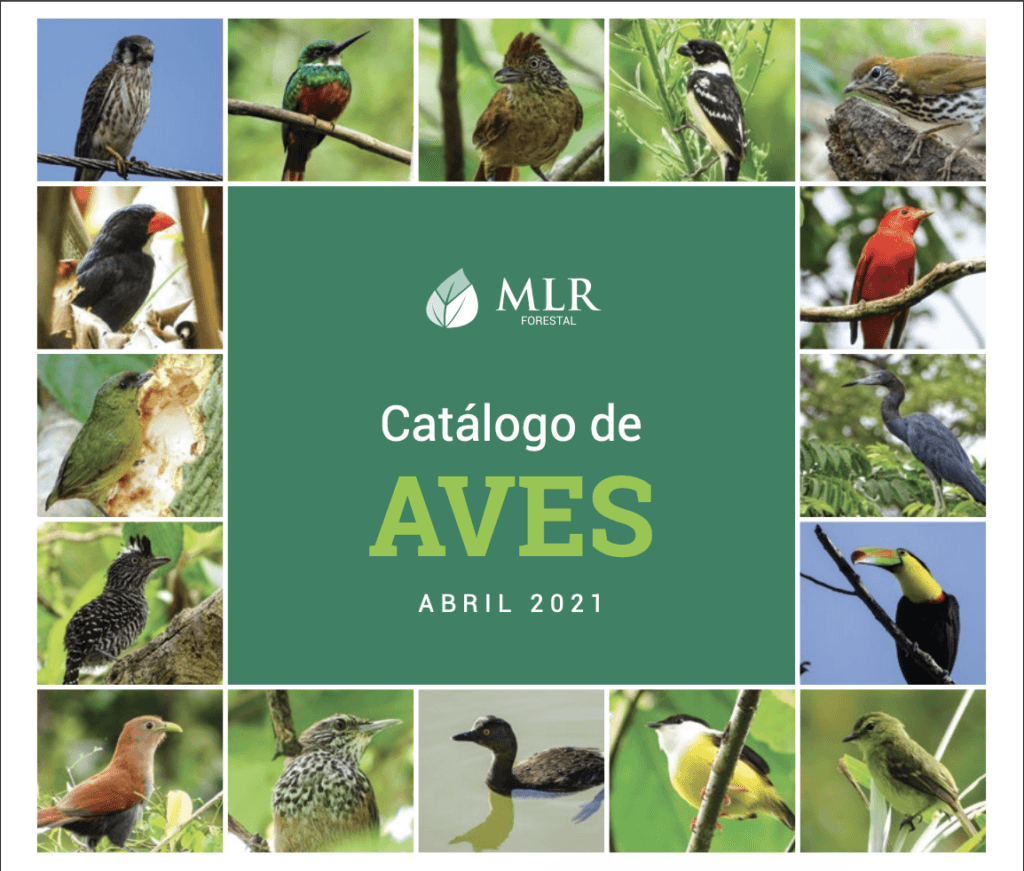 Catálogo de aves MLR Forestal