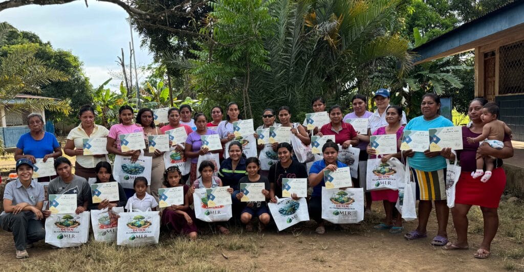 Principal capacitacion MLR