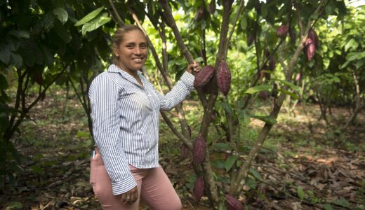 MLR Forestal cacao Darling Granados