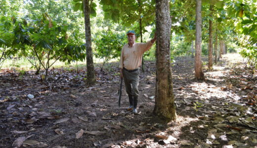 Don Juan López Díaz, su esposa y sus once hijos son parte de la iniciativa Pequeño Productor de Cacao (PPC) promovida por MLR Forestal.