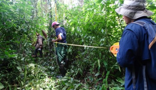 Personnel from the Humboldt Center and MLR measure the protection areas of the agroforestry company.