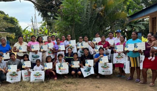 Principal capacitacion MLR